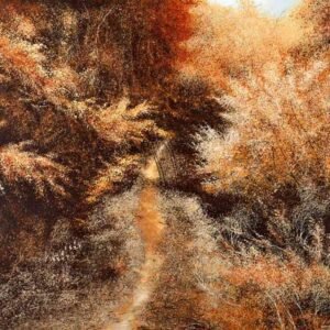 Ashes & Aurum – Vimal Chand