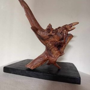 Bird – Root Sculpture by Satyakinkar Baij