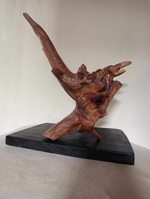Bird – Root Sculpture by Satyakinkar Baij Back