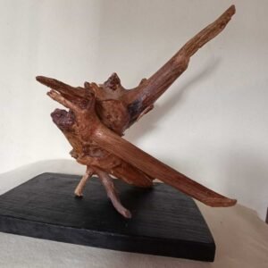 Bird – Root Sculpture by Satyakinkar Baij