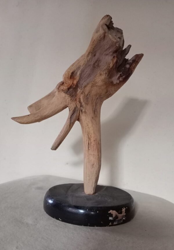 Dog Head – Root Sculpture by Satyakinkar Baij