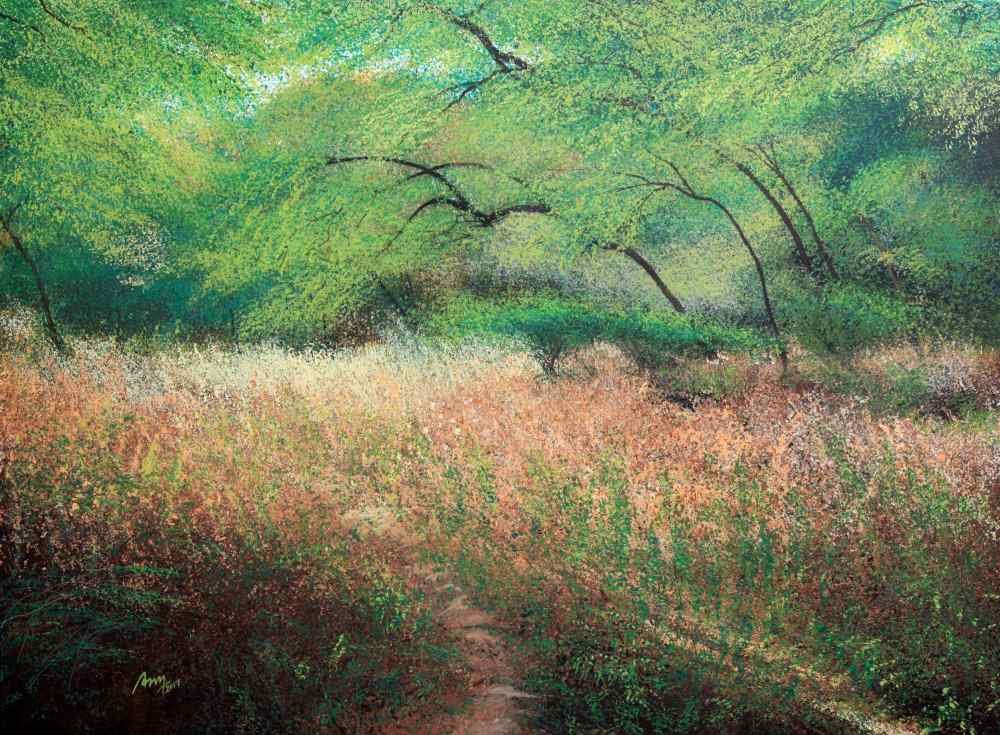 Wilderness of Grass – Vimal Chand